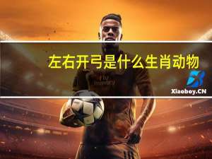 左右开弓是什么生肖动物（左右开弓是什么生肖）