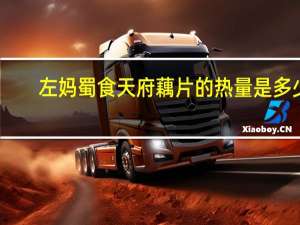 左妈蜀食天府藕片的热量是多少