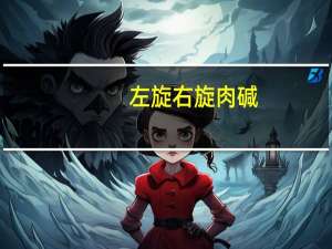 左旋右旋肉碱（畅宜左旋肉碱）