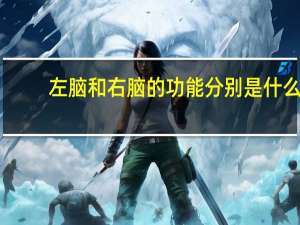 左脑和右脑的功能分别是什么（左脑和右脑的功能分别是什么）