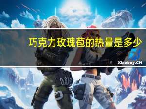 巧克力玫瑰苞的热量是多少