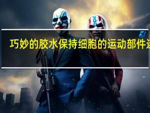 巧妙的胶水保持细胞的运动部件连接