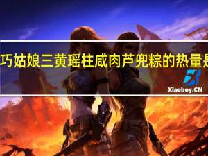 巧姑娘 三黄瑶柱咸肉芦兜粽的热量是多少