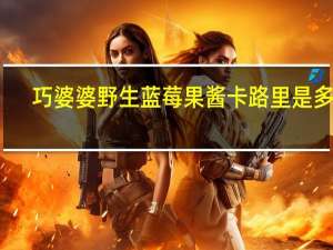 巧婆婆 野生蓝莓果酱卡路里是多少