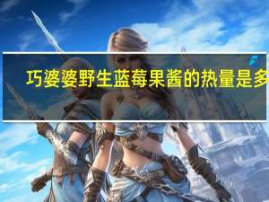 巧婆婆 野生蓝莓果酱的热量是多少