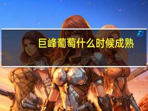 巨峰葡萄什么时候成熟