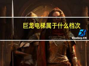 巨龙电梯属于什么档次