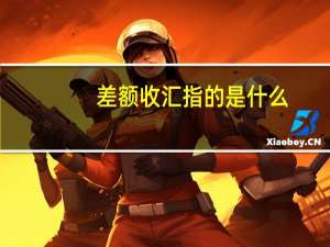差额收汇指的是什么
