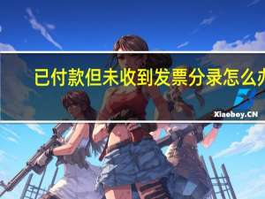 已付款但未收到发票分录怎么办？