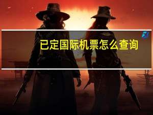 已定国际机票怎么查询