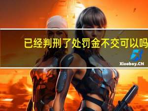 已经判刑了处罚金不交可以吗