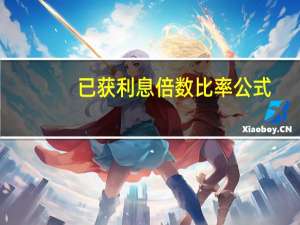 已获利息倍数比率公式