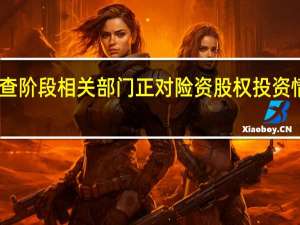已进入现场检查阶段 相关部门正对险资股权投资情况开展新一轮排查