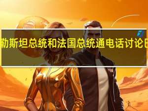 巴勒斯坦总统和法国总统通电话讨论巴以局势