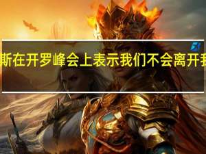 巴勒斯坦总统阿巴斯在开罗峰会上表示我们不会离开我们将留在我们的土地上