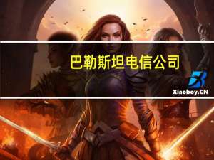 巴勒斯坦电信公司：加沙地带互联网和通信服务已完全中断