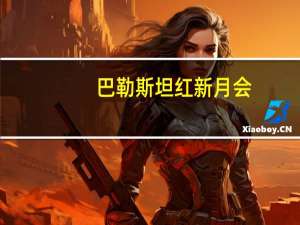 巴勒斯坦红新月会：加沙地带已接收451辆卡车的援助物资