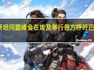 巴勒斯坦问题峰会在埃及举行 各方呼吁巴以停火止战