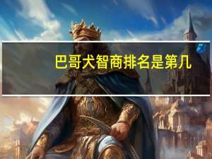 巴哥犬智商排名是第几（巴哥犬智商排名）