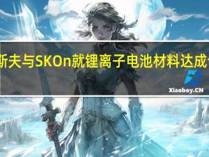 巴斯夫与SK On就锂离子电池材料达成合作协议