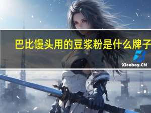 巴比馒头用的豆浆粉是什么牌子的