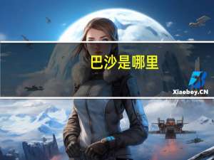 巴沙是哪里