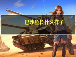 巴沙鱼长什么样子