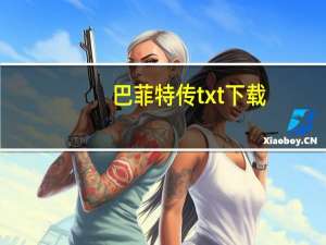 巴菲特传txt下载（巴菲特传txt）