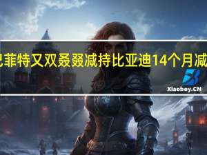巴菲特又双叒叕减持比亚迪 14个月减持13次