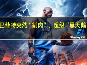 巴菲特突然“割肉”、超级“黑天鹅”来袭？