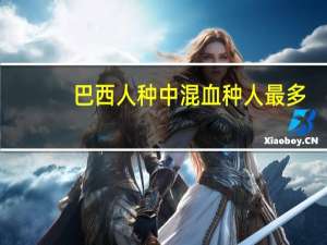巴西人种中混血种人最多（巴西人种）