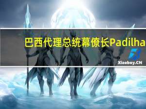 巴西代理总统幕僚长Padilha：巴西总统卢拉将在从非洲之行回来后改组内阁但确切日期尚未确定