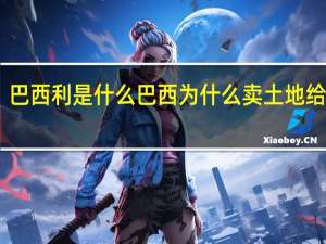 巴西利是什么 巴西为什么卖土地给日本