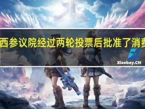 巴西参议院经过两轮投票后批准了消费税改革
