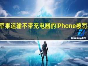 巴西因苹果运输不带充电器的iPhone被罚款200万美元