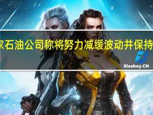 巴西国家石油公司称将努力减缓波动并保持石油价格稳定