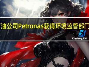 巴西国家石油公司Petronas获得环境监管部门Ibama最新许可