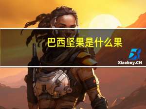 巴西坚果是什么果