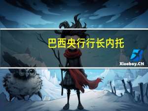巴西央行行长内托：巴西央行在实现软着陆方面做得很好以最低成本将通胀率降低