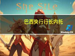 巴西央行行长内托：巴西政府的总开支远远超过拉美地区的平均水平