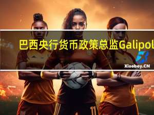巴西央行货币政策总监Galipolo：我们正在观察通胀回落的情况但它更有抵抗力且速度较慢