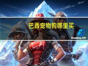 巴西宠物狗哪里买