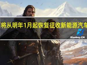 巴西将从明年1月起恢复征收新能源汽车进口关税