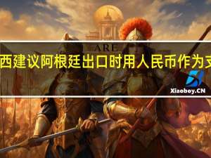 巴西建议阿根廷出口时用人民币作为支付保证