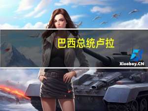 巴西总统卢拉：如果巴西的赤字占国内生产总值的0.5%或0.25%那几乎可以忽略不计我们将尽一切努力达到财政目标但不一定要实现零赤字