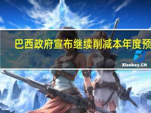 巴西政府宣布继续削减本年度预算