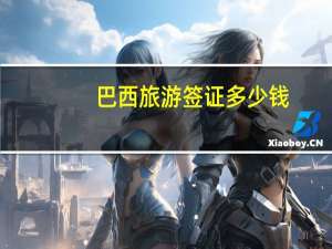 巴西旅游签证多少钱