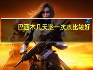 巴西木几天浇一次水比较好