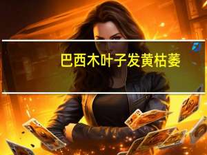 巴西木叶子发黄枯萎