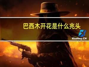 巴西木开花是什么兆头